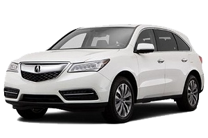 
									MDX