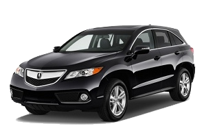 
									RDX