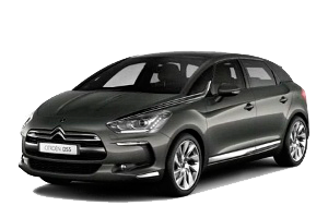 
									DS5