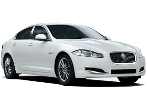 
									XF