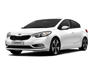 
									CERATO